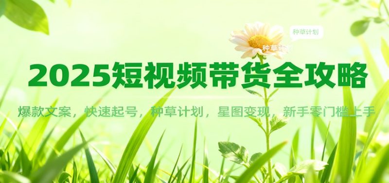 2025短视频带货全攻略：爆款文案，快速起号，种草计划，星图变现，新手零门槛上手-大设天下