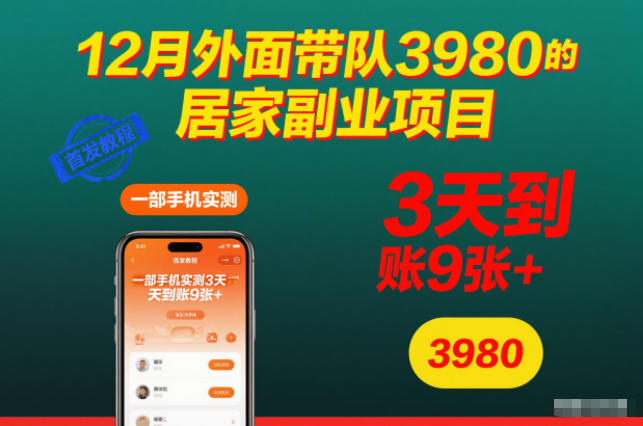 12月外面带队3980的居家副业项目，一部手机实测3天到账9张+，首发教程【揭秘】-大设天下