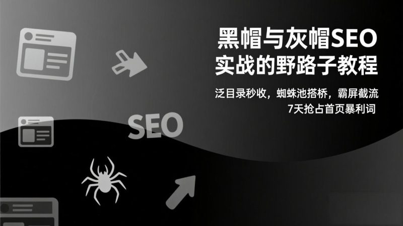 黑帽与灰帽SEO实战的野路子教程：泛目录秒收，蜘蛛池搭桥，霸屏截流，7天抢占首页暴利词-大设天下