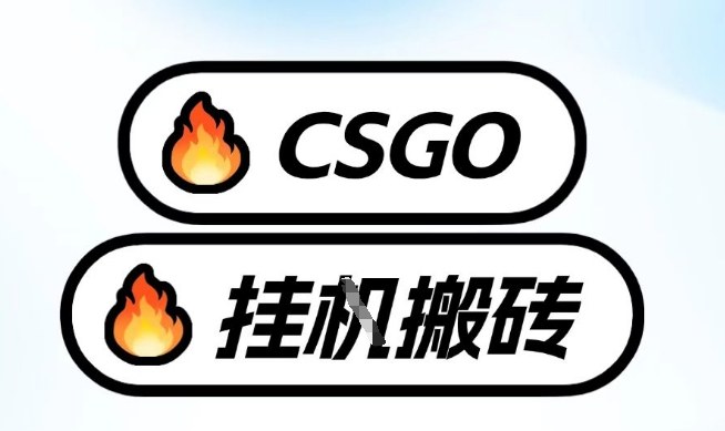 真全网独家CSGO挂G，最新玩法,单日捡漏1K+，不用电脑，不用打游戏【揭秘】-大设天下