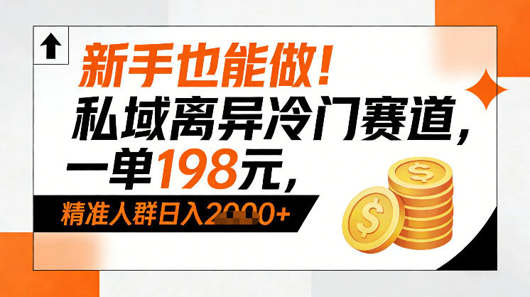 新手也能做！私域离异冷门赛道，一单198，精准人群日入1k+-大设天下