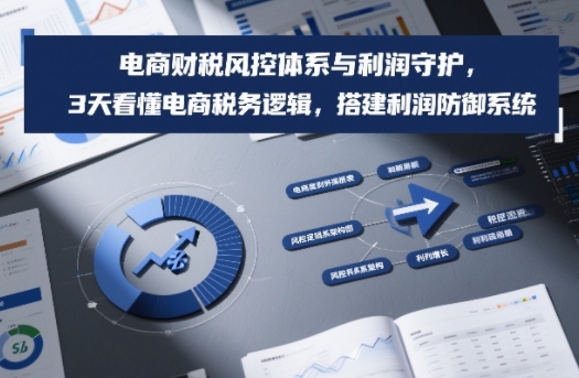 电商财税风控体系与利润守护，3天看懂电商税务逻辑，搭建利润防御系统-大设天下