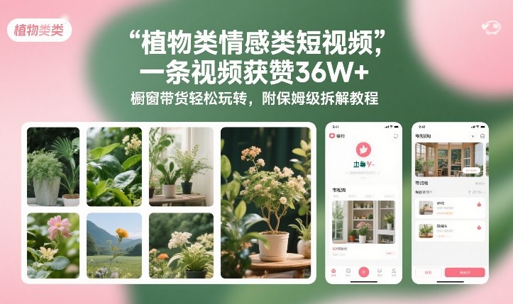 植物类情感类短视频，一条视频获赞36W+，橱窗带货轻松玩转，附保姆级拆解教程-大设天下