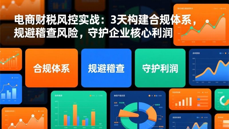 电商财税风控实战：3天构建合规体系，规避稽查风险，守护企业核心利润-大设天下
