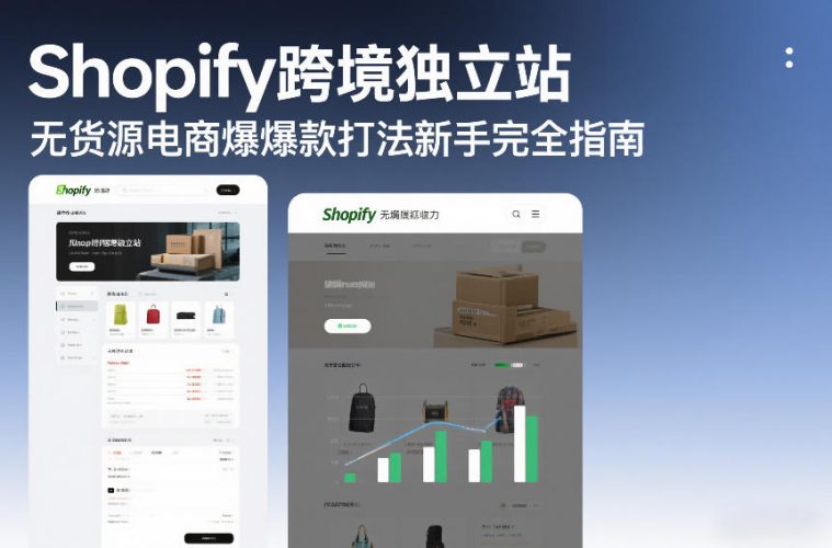Shopify跨境独立站无货源电商爆款打法新手完全指南-大设天下