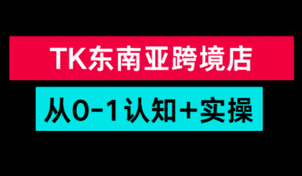 TikTok东南亚跨境从0-1认知实操课-大设天下