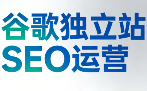 谷歌独立站SEO运营(更新2026)-大设天下