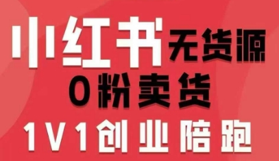 小红书无货源0粉电商课，开店准备、选品策略、笔记撰写、视频剪辑、数据分析、账号打造、资料文档(更新26年1月)-大设天下