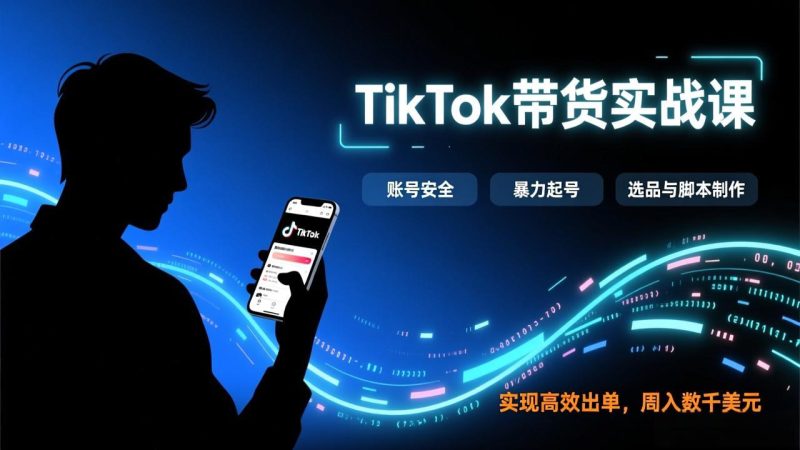 TikTok带货实战课，涵盖账号安全、暴力起号、选品与脚本制作，实现高效出单，周入数千美元-大设天下