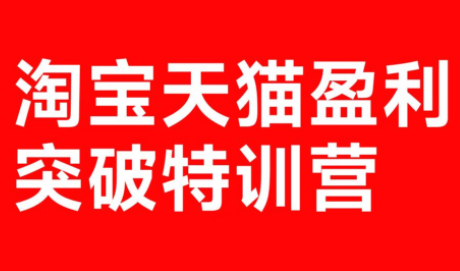 玺承·淘宝天猫盈利突破特训营(25年12月线下课)【音频+字幕】-大设天下