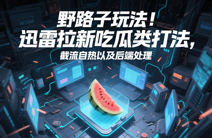 野路子玩法！迅雷拉新吃瓜类打法，截流自热以及后端处理-大设天下