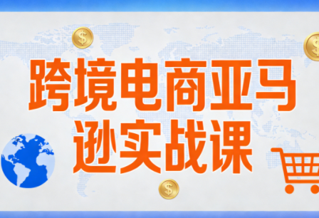 丝丝老师·跨境电商亚马逊实战课(更新2月)-大设天下