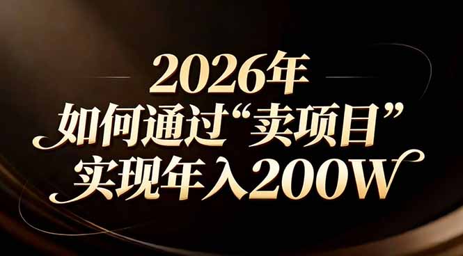 站在2026年的十字路口：一个普通人如何通过卖项目实现年入200万-大设天下