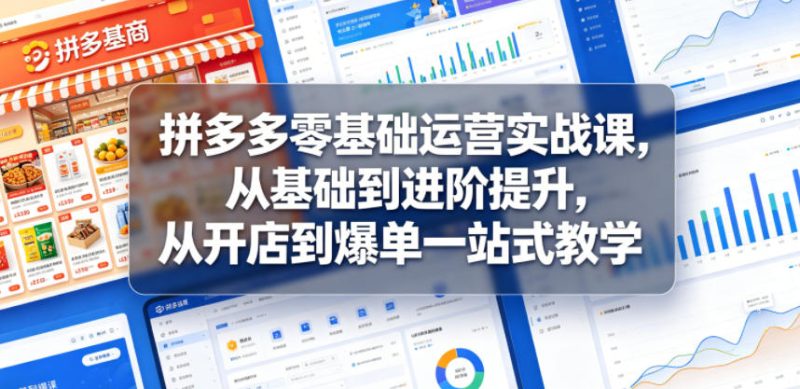 拼多多零基础运营实战课，从基础到进阶提升，从开店到爆单一站式教学-大设天下